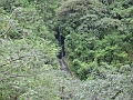 22 hike along Manoa Falls